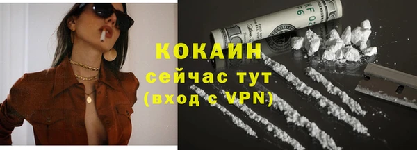 хмурый Абаза