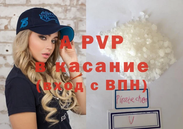 хмурый Абаза