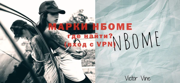 хмурый Абаза