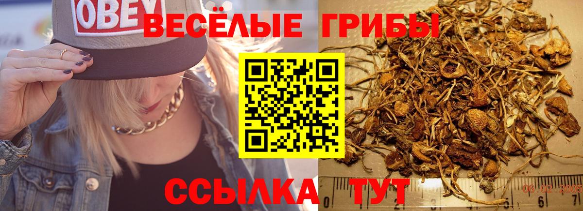 Псилоцибиновые грибы ЛСД Тихорецк